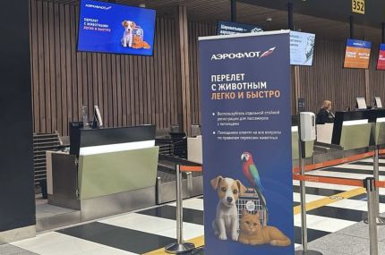 «Аэрофлот» открыл отдельную стойку регистрации для пассажиров с животными в аэропорту Шереметьево
